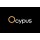 Ocypus